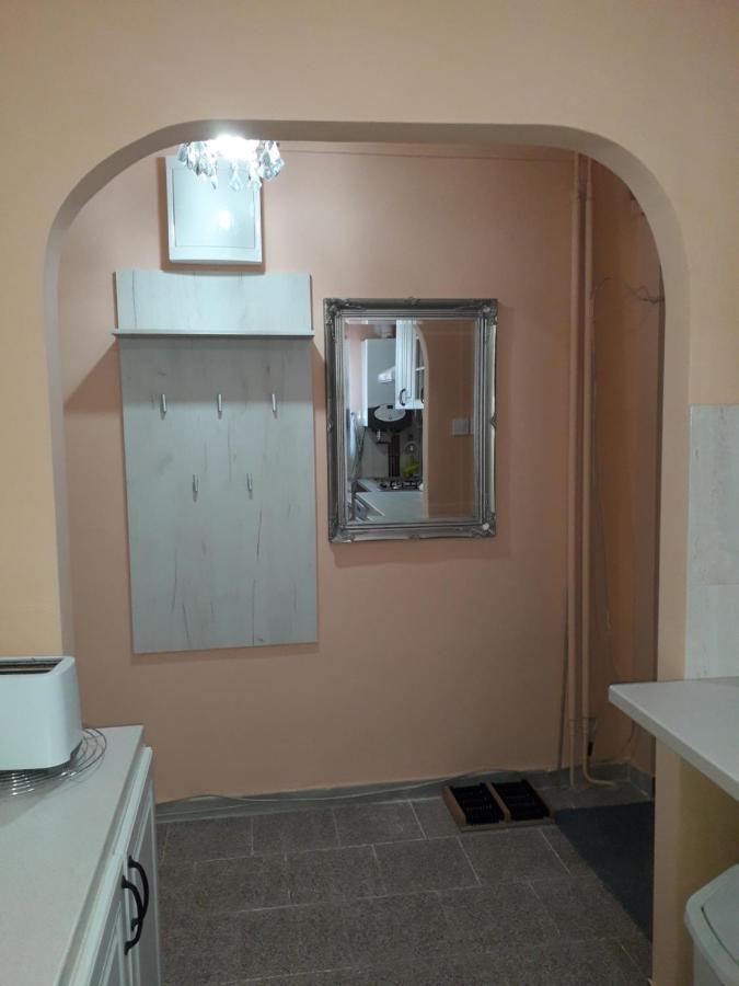 Cozy, Central 1-Bedroom Apartment In Timisoara, Romania Timişoara Exterior foto
