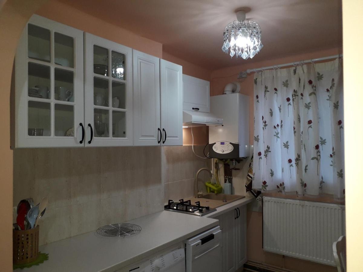 Cozy, Central 1-Bedroom Apartment In Timisoara, Romania Timişoara Exterior foto