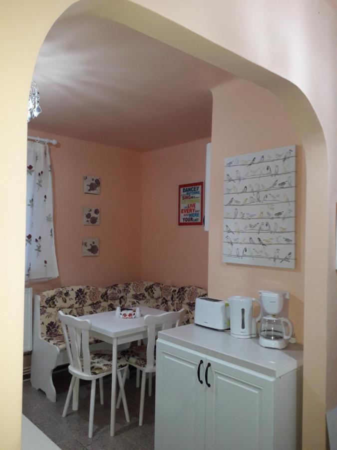 Cozy, Central 1-Bedroom Apartment In Timisoara, Romania Timişoara Exterior foto