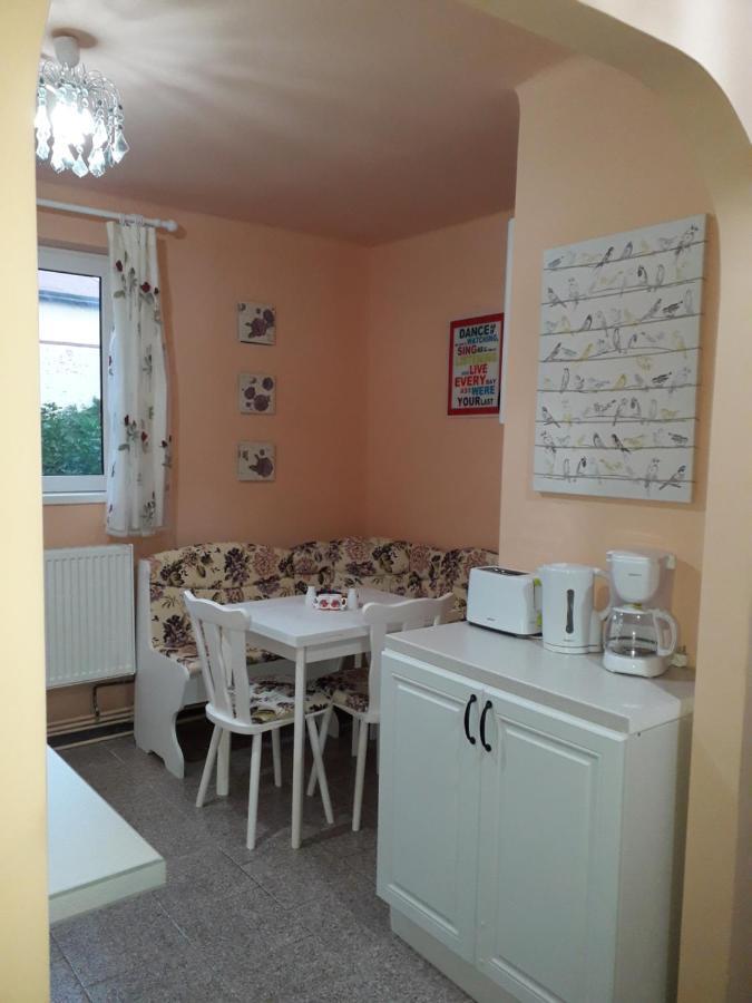 Cozy, Central 1-Bedroom Apartment In Timisoara, Romania Timişoara Exterior foto