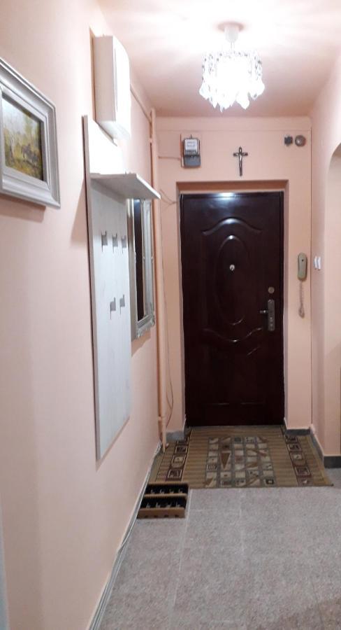Cozy, Central 1-Bedroom Apartment In Timisoara, Romania Timişoara Exterior foto