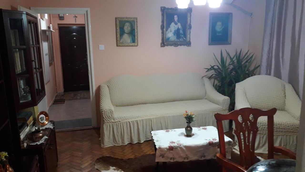 Cozy, Central 1-Bedroom Apartment In Timisoara, Romania Timişoara Exterior foto